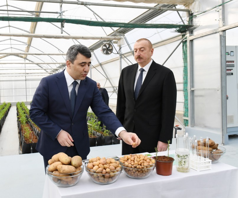 İlham Əliyev açılışda - FOTOLAR-YENİLƏNİB