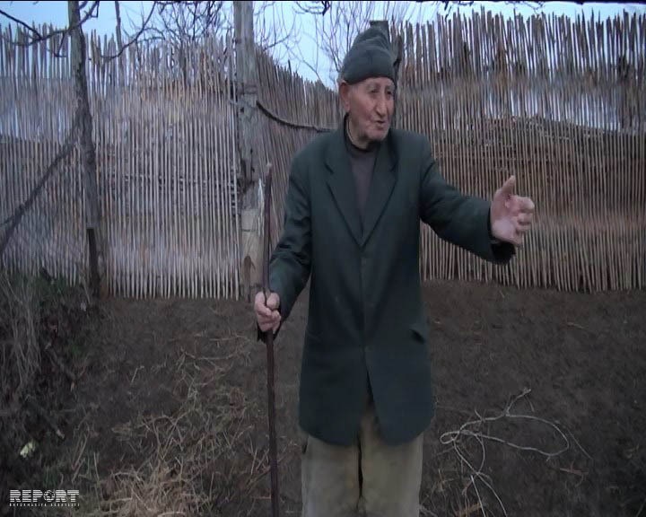 Canavarlar 7 baş qoyunu parçalayıb - FOTOLAR