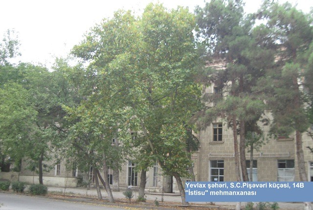 “Şəki Tikinti Quraşdırma”, “Kürdəmir Quşçuluq” hərraca çıxarıldı - FOTO