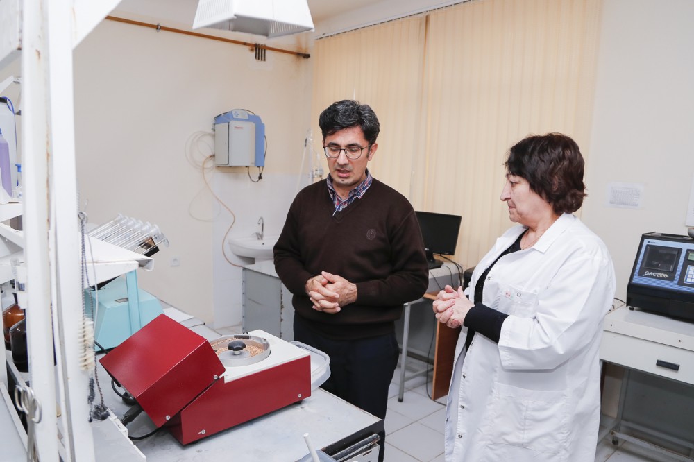“Bütün elmi tətqiqatların son nəticəsi fermerlərə yönəlib” - Ekspert (FOTO)