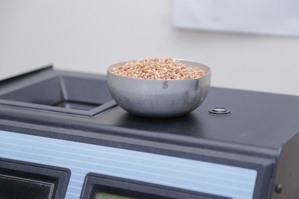 “Bütün elmi tətqiqatların son nəticəsi fermerlərə yönəlib” - Ekspert (FOTO)