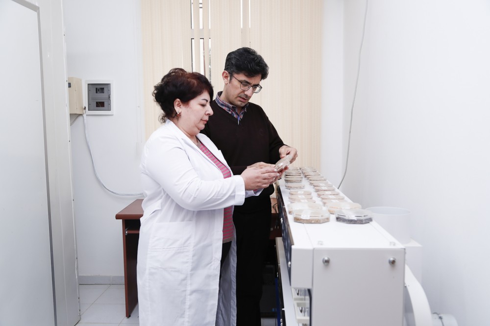 “Bütün elmi tətqiqatların son nəticəsi fermerlərə yönəlib” - Ekspert (FOTO)