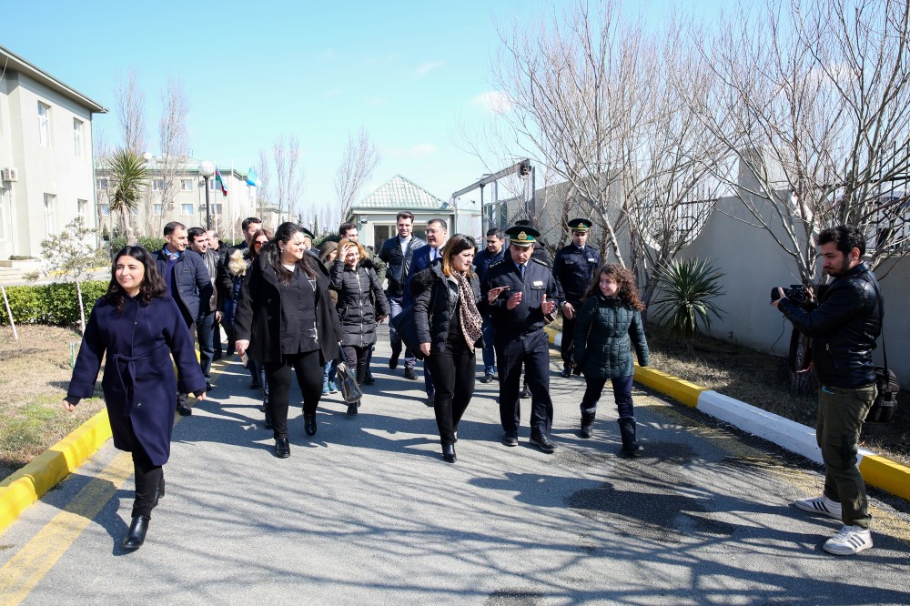 Dövlət Gömrük Komitəsi növbəti mediatur təşkil edib - FOTOLAR