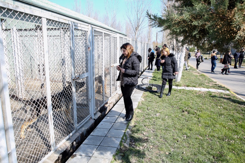 Dövlət Gömrük Komitəsi növbəti mediatur təşkil edib - FOTOLAR