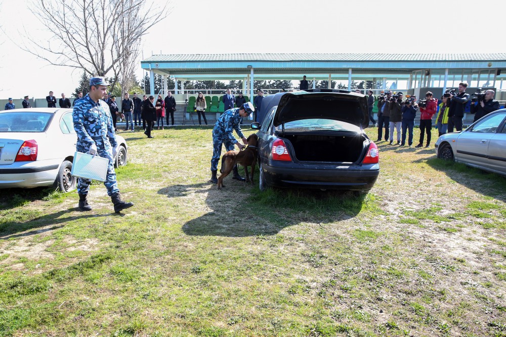 Dövlət Gömrük Komitəsi növbəti mediatur təşkil edib - FOTOLAR