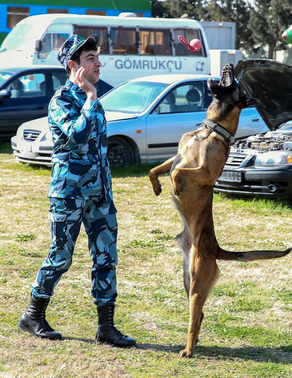 Dövlət Gömrük Komitəsi növbəti mediatur təşkil edib - FOTOLAR