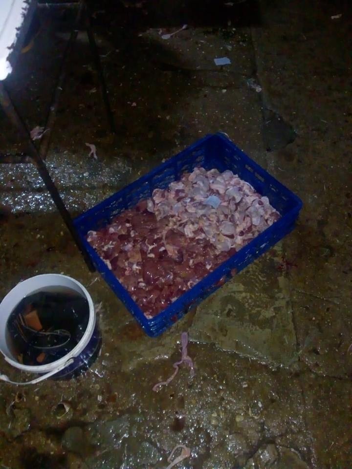 Bakıda anti-sanitar şəraitdə fəaliyyət göstərən toyuq sexi aşkarlandı - FOTO