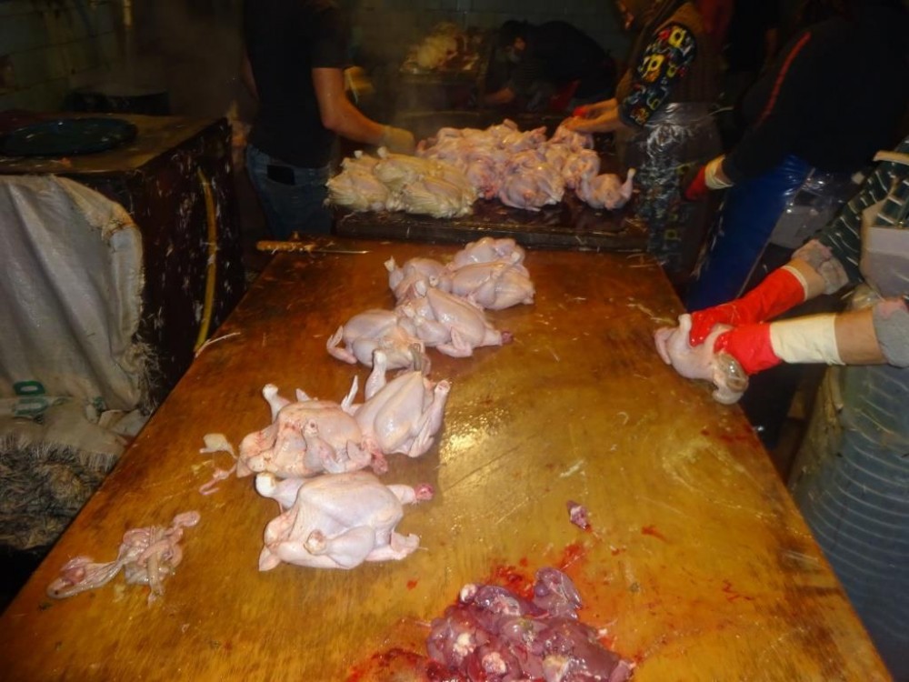 Bakıda sexdə İYRƏNCLİK: Hamam vannasında toyuq təmizlənilir