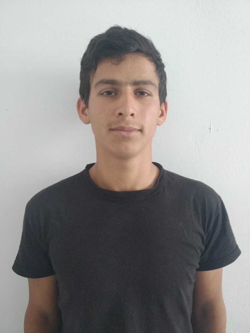 Mal-qara oğruları tutuldu - FOTO