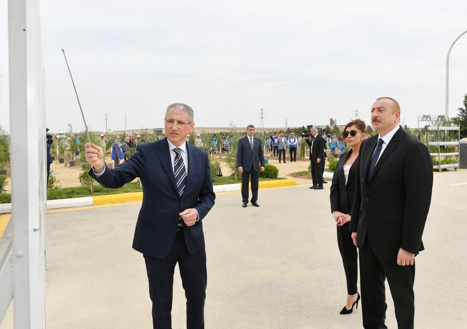 Prezident ailə üzvləri ilə birgə ağac əkdi - FOTOLAR-YENİLƏNİB