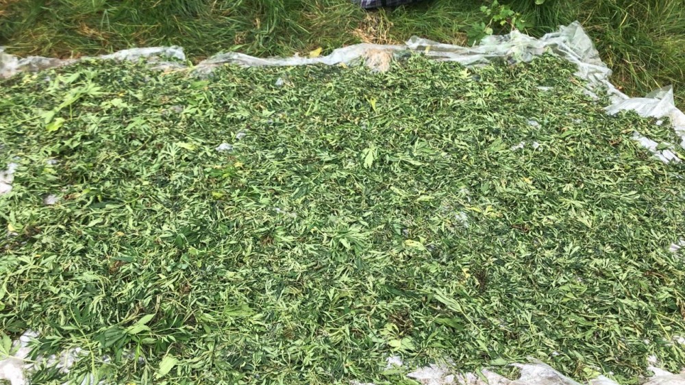 Masallı sakini külli miqdarda narkotiklə Balakəndə tutuldu - FOTO