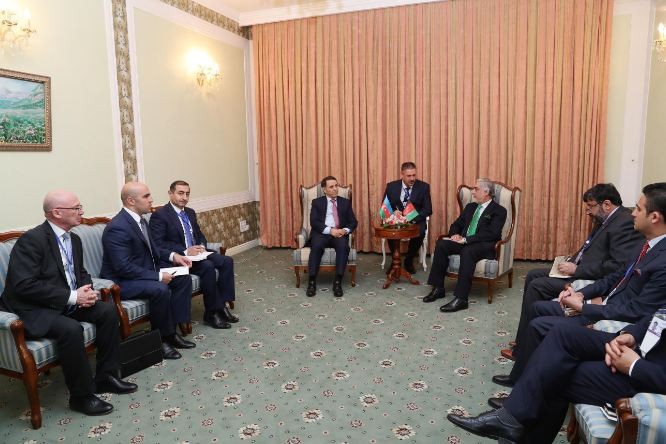 Novruz Məmmədov Əfqanıstanın icra rəisi ilə görüşdü 