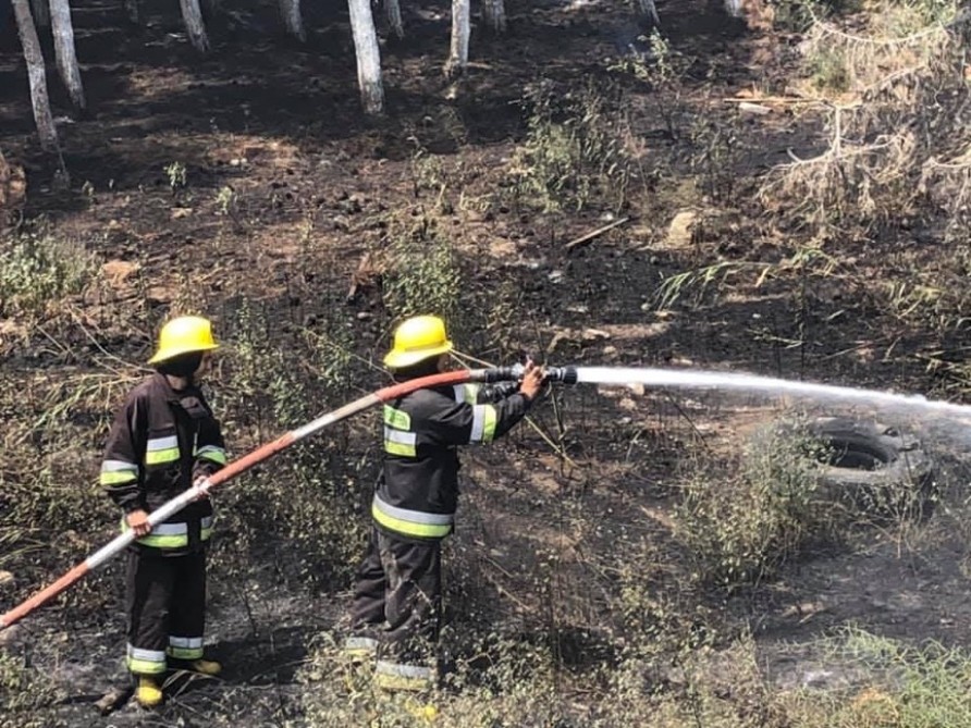 Maşından siqaret kötüyü atıldı - Xırdalan yolundakı ağaclar yandı (FOTOLAR)