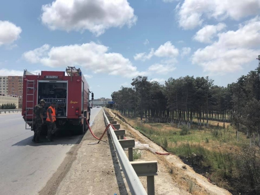 Maşından siqaret kötüyü atıldı - Xırdalan yolundakı ağaclar yandı (FOTOLAR)