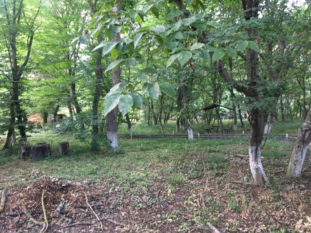 Keçmiş qayınatasının Röyaya bağışladığı villa 500 min dollara satılır - FOTOLAR