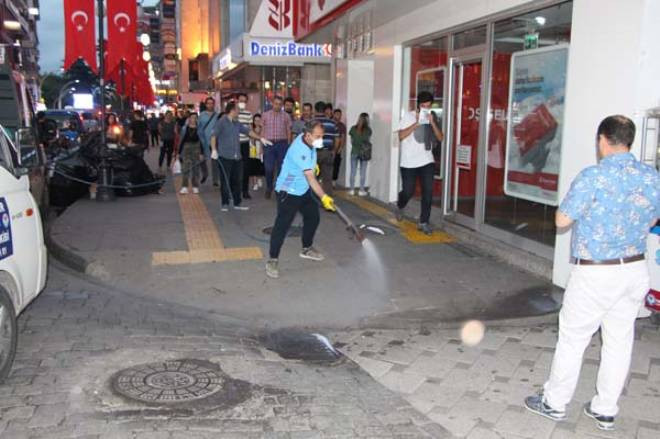 Şəhərin mərkəzində dəhşət - Zəhərli böcəklər insanlara hücum çəkdi (FOTOLAR)
