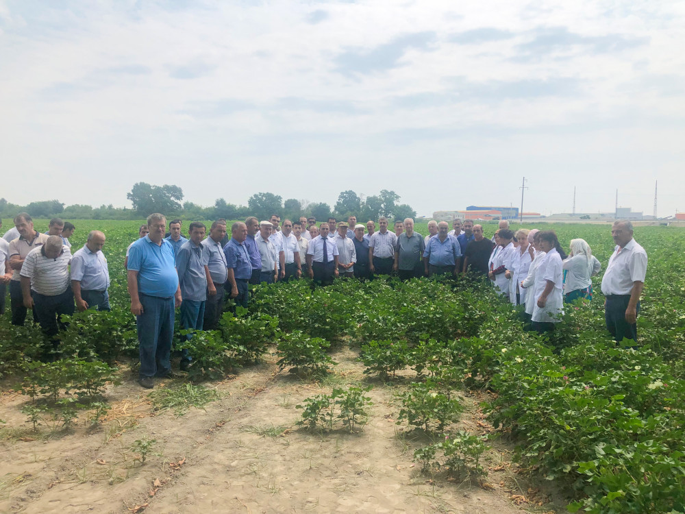 Ucarda tarla seminarı keçirildi - FOTO