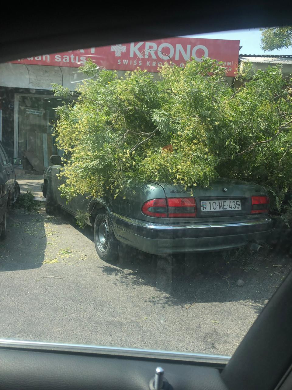 Nərimanovda ağac avtomobillərin üzərinə düşdü - FOTO