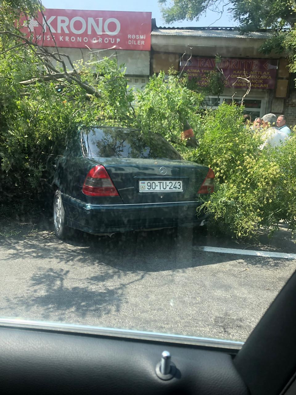 Nərimanovda ağac avtomobillərin üzərinə düşdü - FOTO