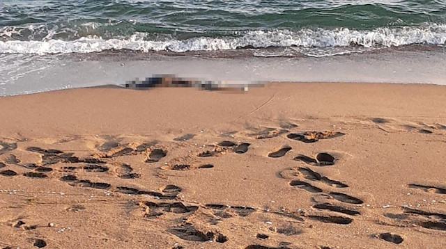 Sahildə insan skeleti tapıldı - FOTO