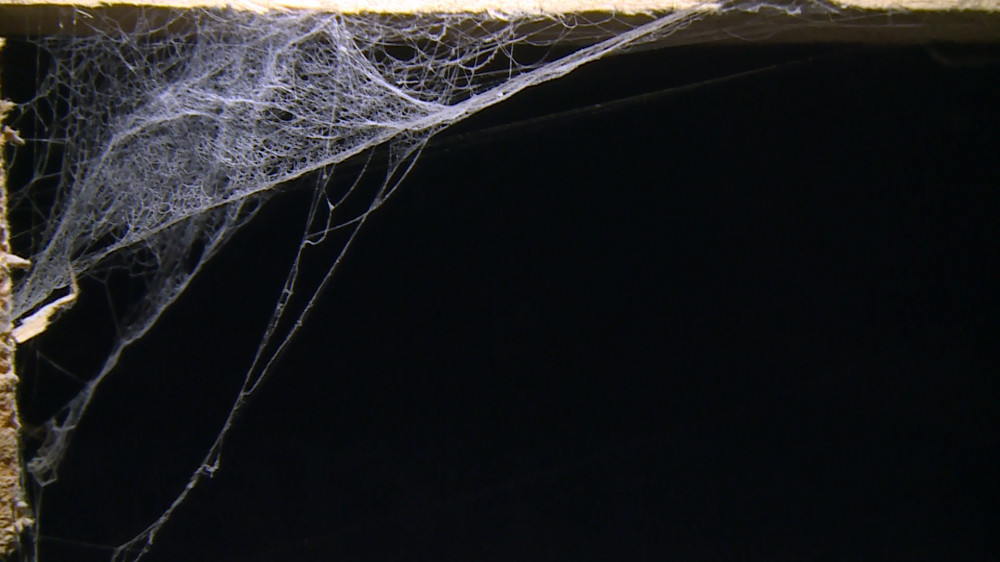 Bakıda anbardan 2 milyonluq dərman götürüldü - gizli yolla gətirilib (FOTOLAR)