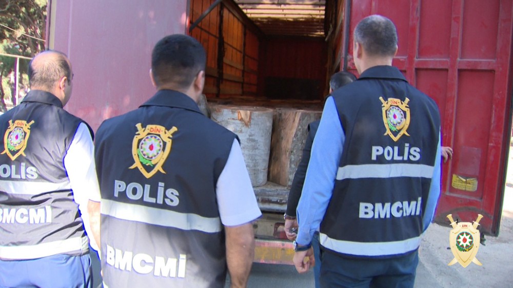 Ağacları kütləvi qıran dəstə saxlanıldı - FOTOLAR