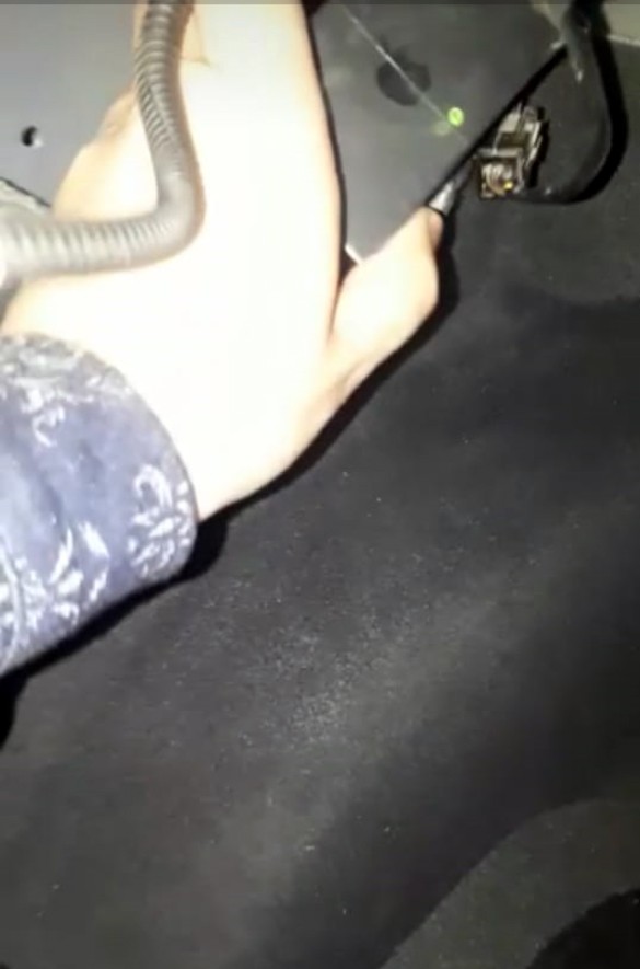 Azərbaycanda "Buran" ləqəbli it görün nə aşkarladı - FOTOLAR