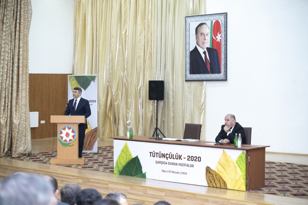 "Tütünçülüyə daha çox diqqət ayrılacaq" - İnam Kərimov