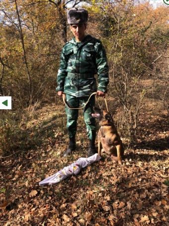 DSX  meşələrdə gizlədilən silahlar aşkarladı - FOTOLAR