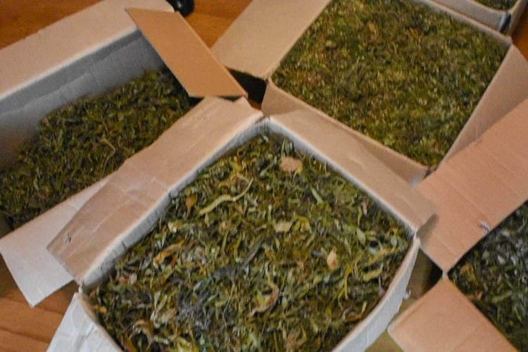 Azərbaycan polisindən əməliyyat: - Narkotacirlər 13 kq narkotiklə tutuldu (FOTO)