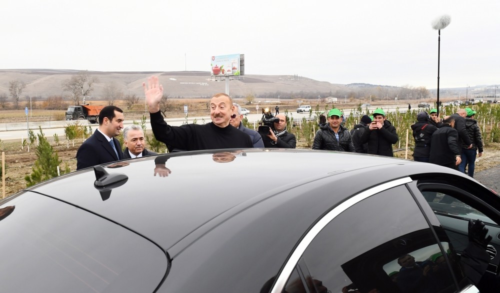 İlham Əliyev və Mehriban Əliyeva Şamaxıda ağac əkdi - YENİLƏNİB