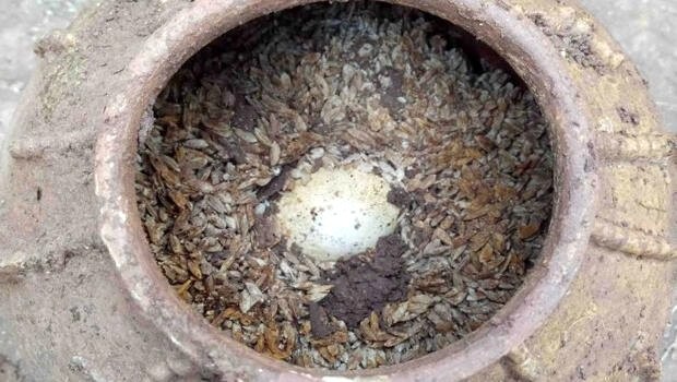 Məzardan 500 illik yumurta tapıldı (Foto)