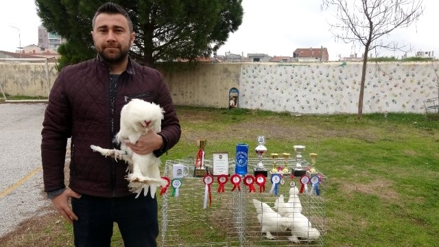 Azərbaycanlılar xoruza görə  Türkiyəyə getdilər - FOTO