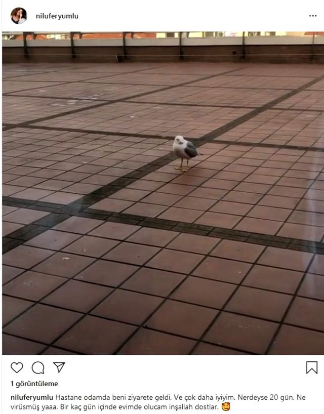 Türkiyəli məşhur müğənni virusa yoluxdu 