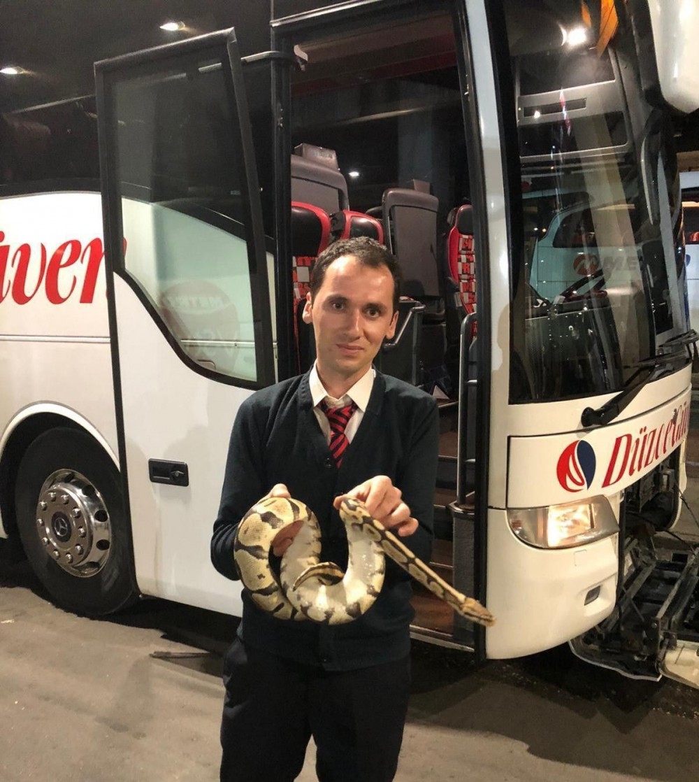 Sərnişin avtobusuna pitonla mindi (Foto)