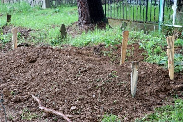 Koronavirusa görə ölən 8 aylıq hamilə qadının körpəsini də xilas etmək mümkün olmadı