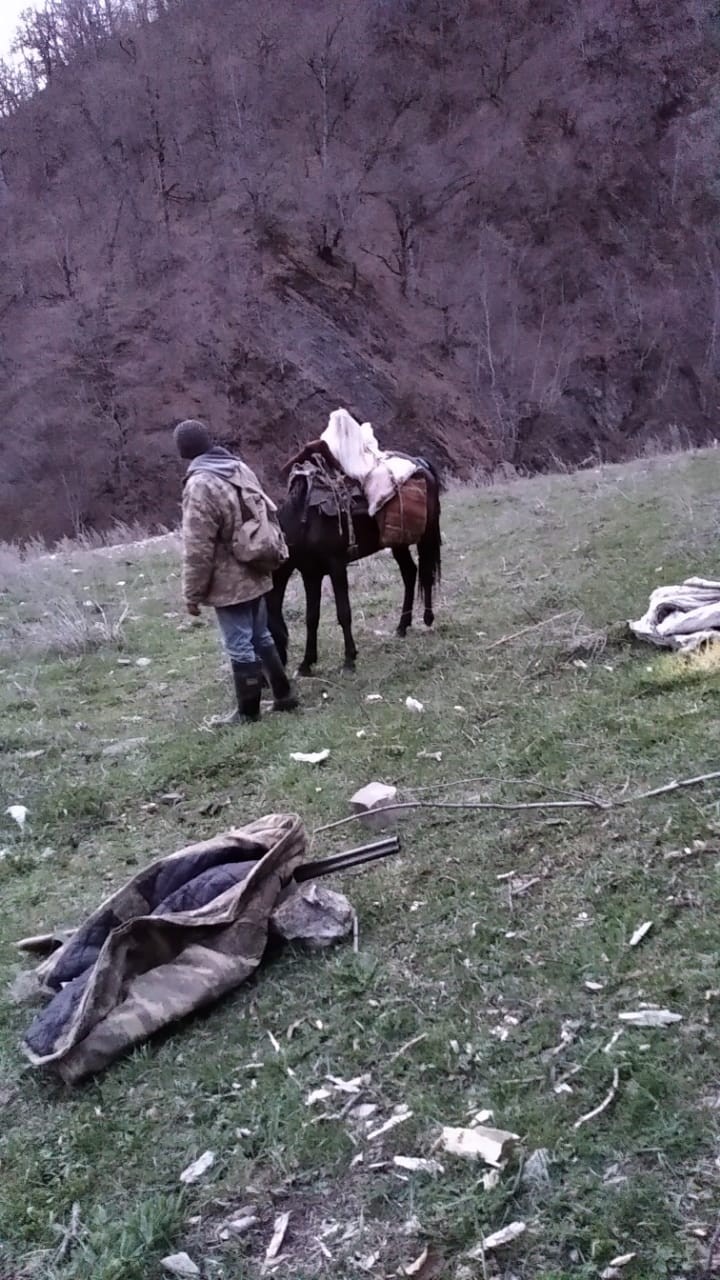 Şahdağ Milli Parkında qanunsuz ov edən şəxslər saxlanıldı - Foto