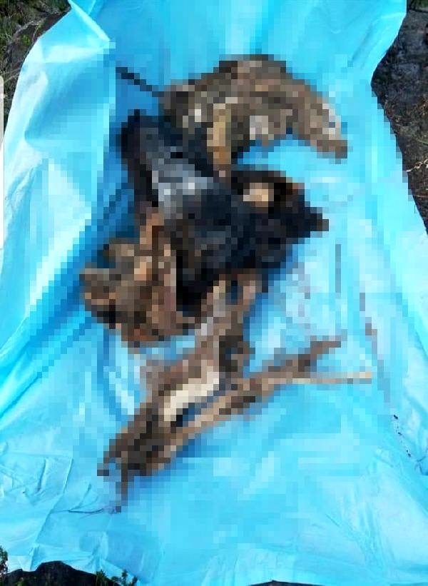 4 adamı öldürən şübhəlinin skeleti tapıldı – Türkiyədə (FOTO)