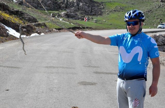 Bu ərazidə sürü halında olan ilanlar vətəndaşları qorxutdu - Türkiyədə (FOTO)
