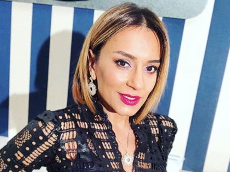 Bir qrup sənət adamı Afaq Bəşirqızına DƏSTƏK OLDU