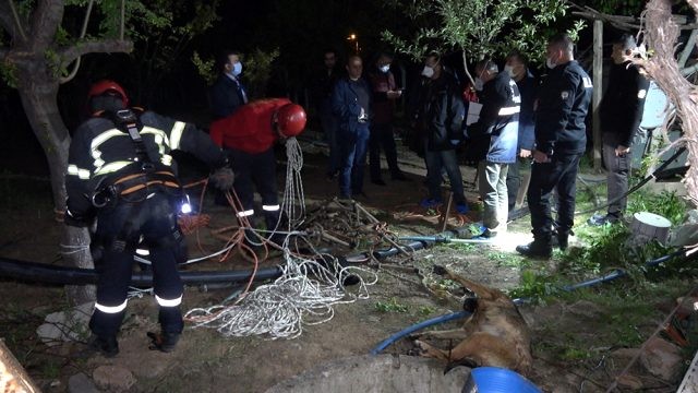 74 yaşlı kişi itini xilas edərkən həyatından oldu - Türkiyədə