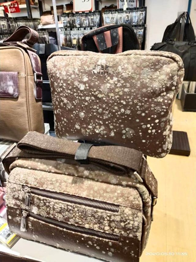Koronavirusa görə bağlı qalan mağazanın məhsulları kifləndi - FOTO