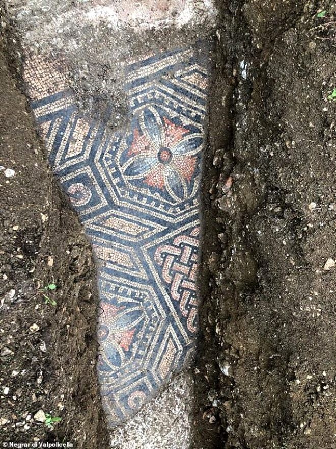 Üzüm bağının altından görün nə çıxdı - FOTOLAR