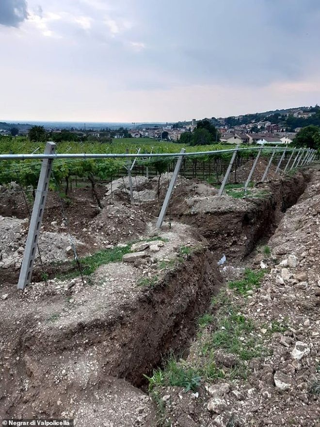Üzüm bağının altından görün nə çıxdı - FOTOLAR