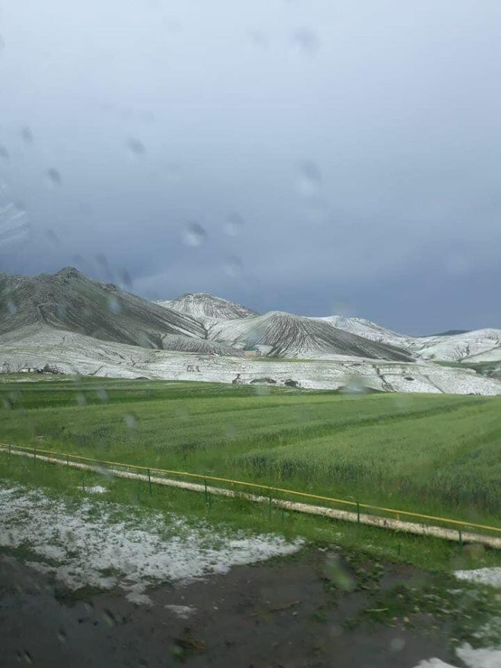 Gədəbəyə qar yağıb - FOTO