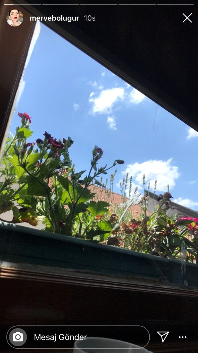 Məşhur aktrisa universitet imtahanına girmədi 