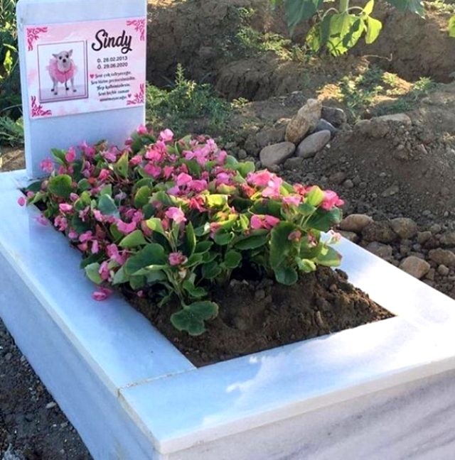 Balaca itin məzarı gündəm oldu - FOTO