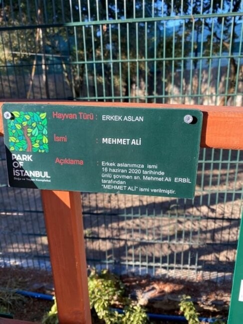 Mehmet Ali Ərbilin adı şirə verildi - FOTO