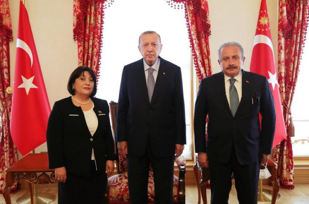 Sahibə Qafarova Rəcəb Tayyib Ərdoğanla görüşdü - Foto