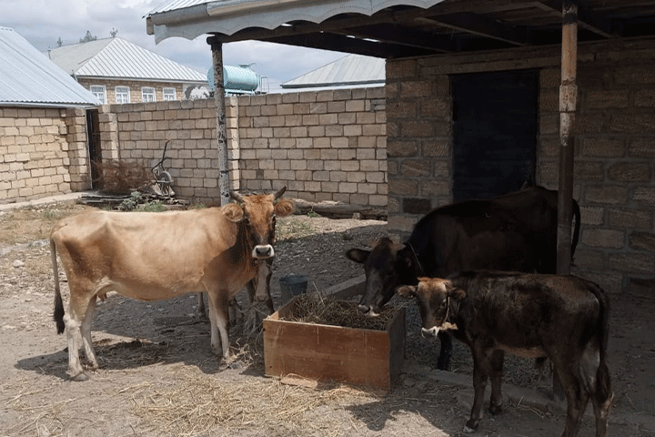 “Rabitəbank” həssas əhali qruplarına təmənnasız dəstək olmağa davam edir 